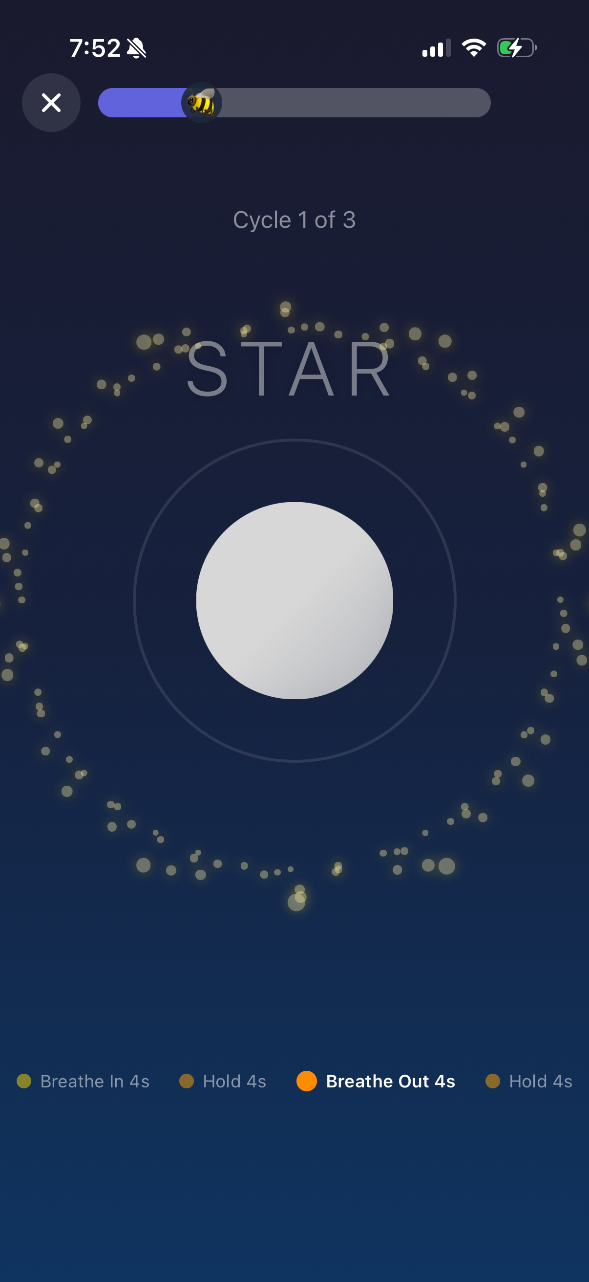 Guided breathing exercise